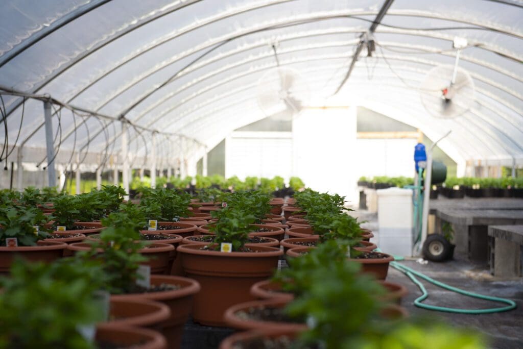 agriculture teacher greenhouse